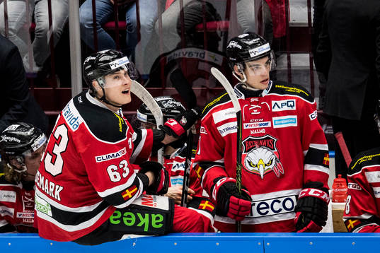 Malmö Redhawks Fredrik Händemark och Lukas Haudum deppar