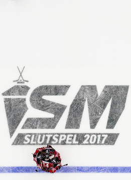Malmö Redhawks spelare jublar
