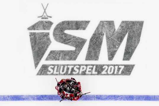 Malmö Redhawks spelare jublar