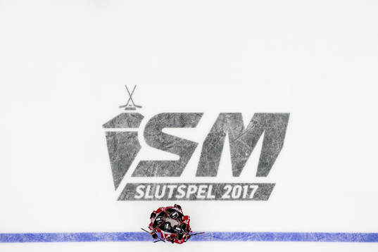Malmö Redhawks spelare jublar