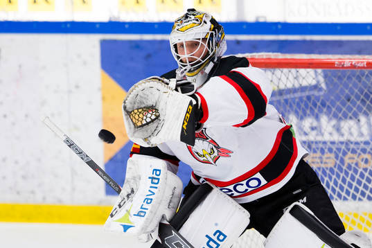 Malmö Redhawks målvakt Tex Williamsson