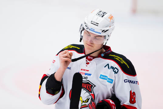 Malmö Redhawks Fredrik Händemark deppar