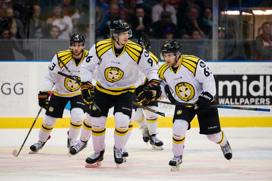 Brynäs jubel