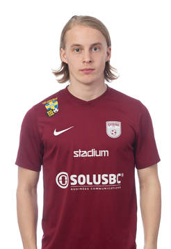 Qvidings Arvid Bergman-Lövborg
