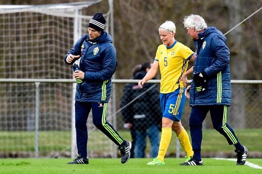 Sveriges Nilla Fischer går av planen skadad