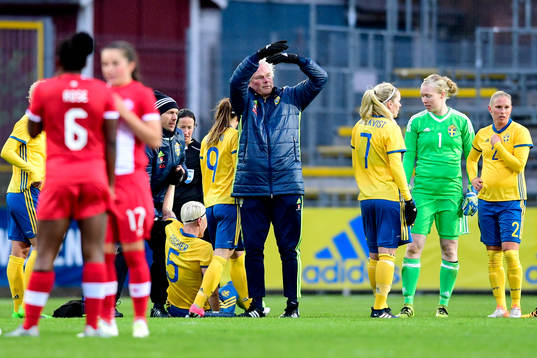 Sveriges Nilla Fischer tvingas byta