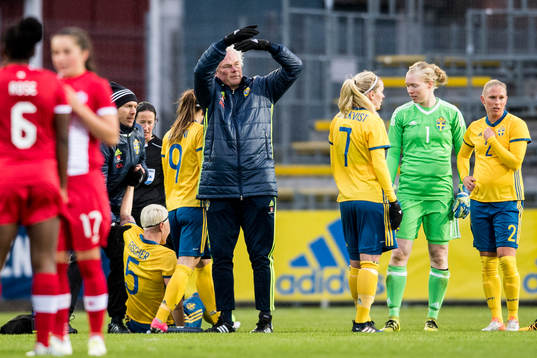 Sveriges Nilla Fischer tvingas till byte