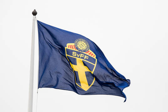 SvFF flagga