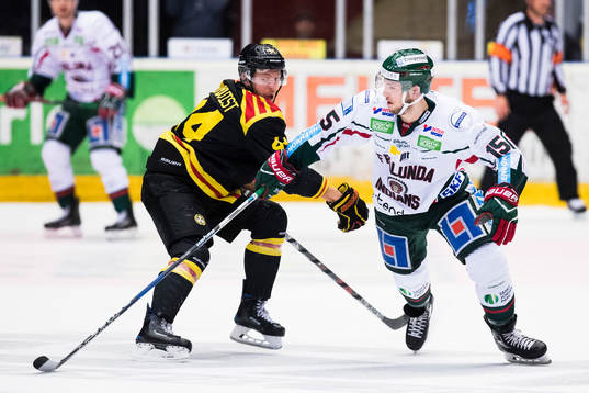 Brynäs Jacob Blomqvist och Frölundas Matt Donovan