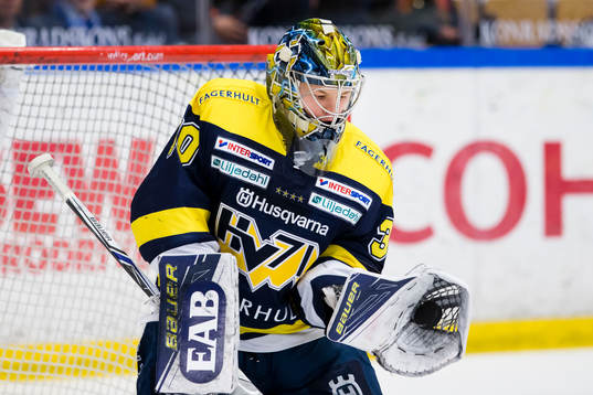 s målvakt Linus Söderström