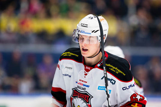 Malmö Redhawks Fredrik Händemark deppar