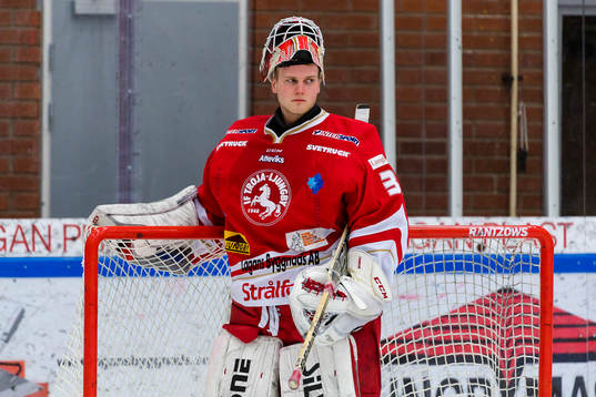 Trojas målvakt Robin Johansson