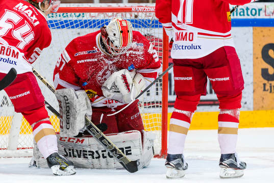 Trojas målvakt Robin Johansson