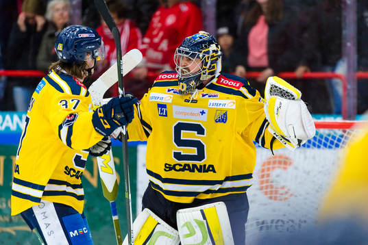 Södertäljes Marcus Bohman och målvakt Alexander Sahlin
