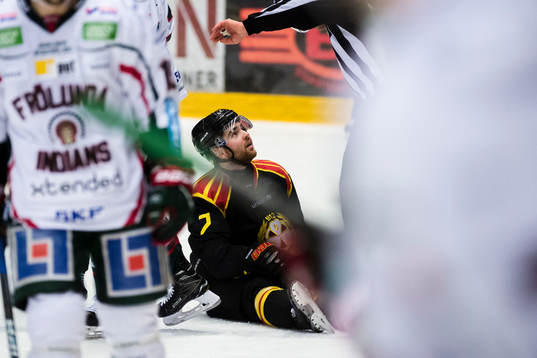 Brynäs Ponthus Westerholm