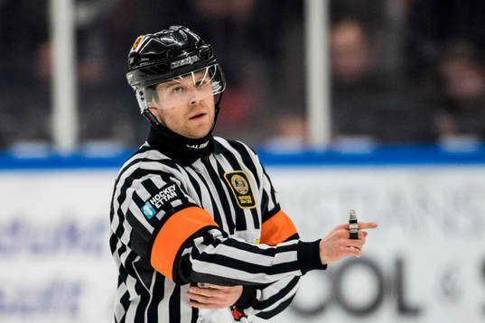 Domare Filip Sandstedt