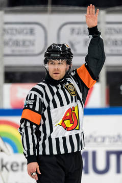 Domare Filip Sandstedt