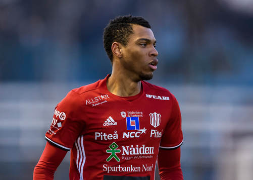 Piteås Kraig Rochester