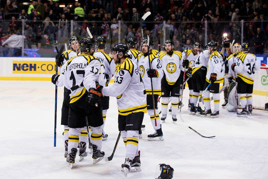 Brynäs jubel