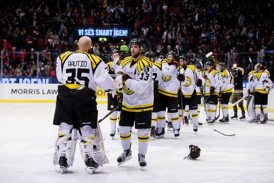 Brynäs jubel