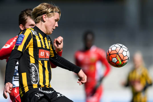 Häckens Teodor Wålemark