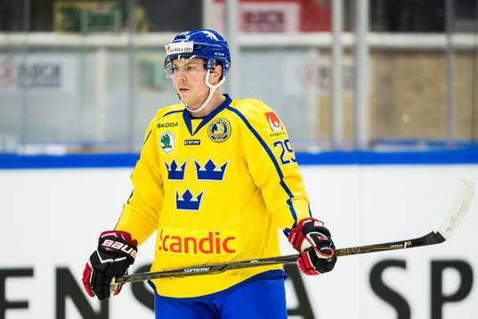 Sveriges Erik Gustafsson