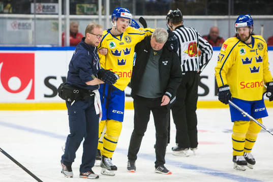 Sveriges Daniel Brodin får hjälp av isen