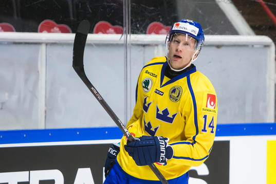Sveriges Richard Gynge