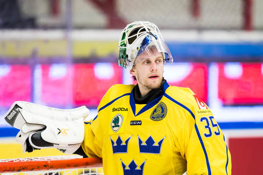 Sveriges målvakt Niklas Svedberg