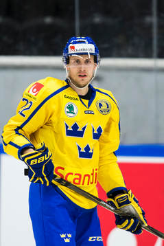 Sveriges Alexander Bergström