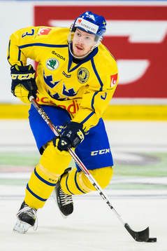 Sveriges Niclas Burström