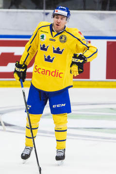Sveriges Pär Lindholm gestikulerar