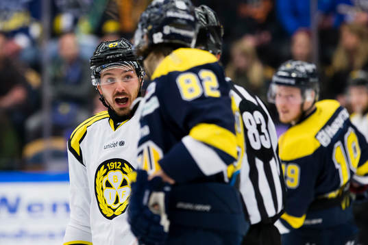 Brynäs Tomas Zaborsky missnöjd med domslut