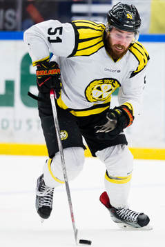 Brynäs Marc Zanetti