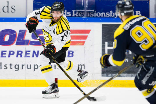 s Ted Brithén
