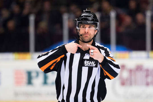 Domare Mikael Sjöqvist