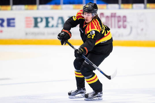 Brynäs Lucas Carlsson