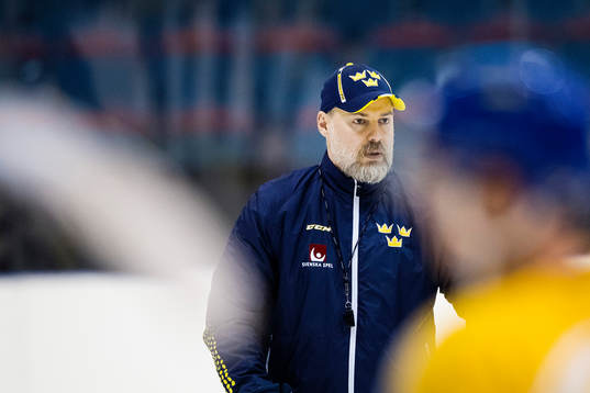 Förbundskapten Rikard Grönborg