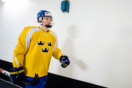 Rasmus Dahlin