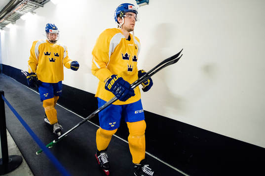 Rasmus Dahlin (tv)