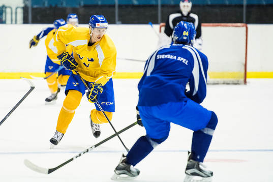 Alexander Bergström