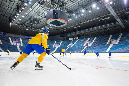 Sveriges spelare på Hovet