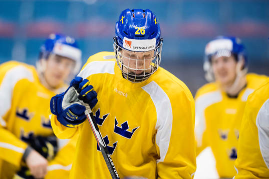 Rasmus Dahlin