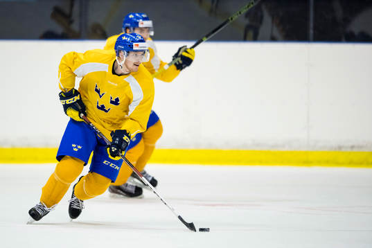 Niclas Burström