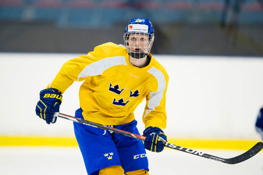 Rasmus Dahlin