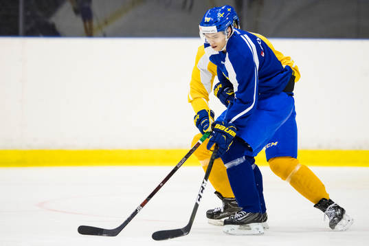 Emil Pettersson