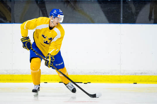 Alexander Bergström