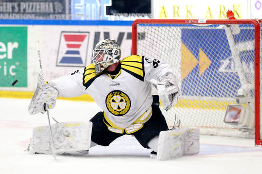 Brynäs målvakt David Rautio