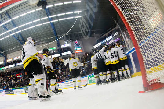 Brynäs jublar