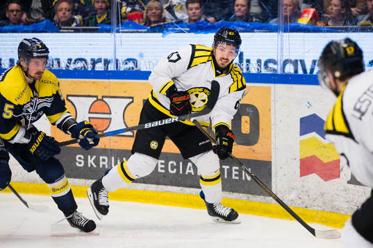 Brynäs Tomas Zaborsky